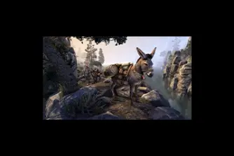 EU - PC > Non-combat Pets > Explorer's Pack Donkey