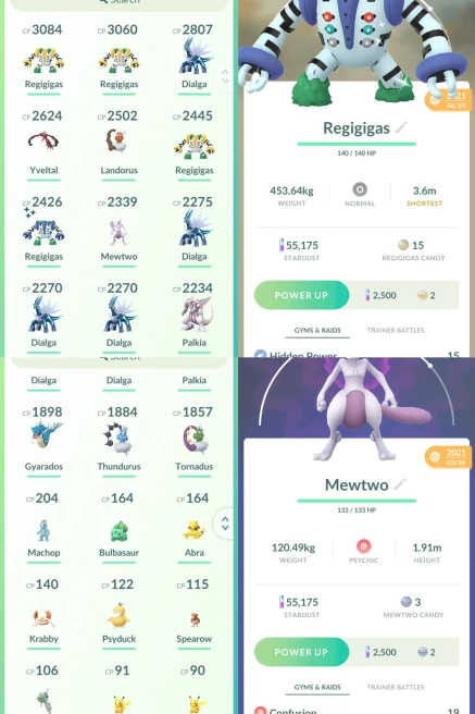 lvl22,have Legendary Mewtwo Shiny Regigigas Dialga Yveltal Landorus Palkia,some nice pokemons N8656