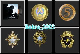 CS2 Prime 421 hours+5Medals(2020-2023 Service Medal/5Y/Loyalty Badge/Global Offensive Badge)