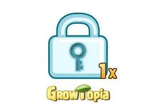 1X Diamond Lock