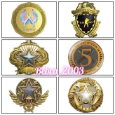 CS2 Prime+6Medals(2018-2021 Service Medal/5Y/Loyalty Badge/Global Offensive Badge/+2025 Service Medal-will give at the entrance 40lvl