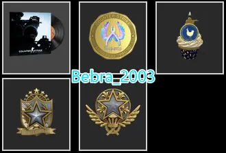 34Game-CS2 Prime 631 hours+4Medals(2021-2022 Service Medal/10 Year Birthday Coin/Global Offensive Badge)