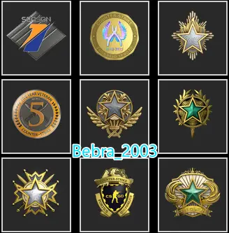 CS2 Prime+9Medals(2018-2019-2020-2021-2023 Service Medal/Premier Season One Medal/5Y/Loyalty Badge/Global Offensive Badge)