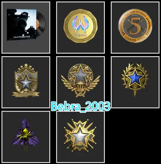 22Game-CS2 Prime+7Medals(Gold Operation Shattered Web Coin/2019-2020-2021-2022 Service Medal/5Y/Global Offensive Badge)