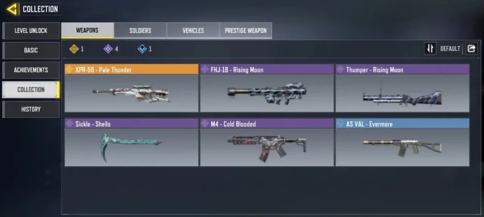 Level 7 / 1 legend gun / 4 epic guns / 1 character / Changable email / single save / cod 13