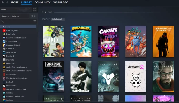 INSTANT DELIVERY//[5000+ Hours]CS 2 + Dota 2 + 9 games + 10 paid games (Half Life 2) Ready for Faceit // FIRST mail