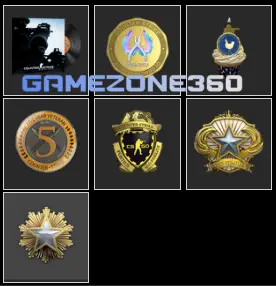 <<SALE>> 2016, 2018 Service Medal, 10 Year Birthday Coin_5Y,Global Offensive Badge, Loyalty _ NO VAC_700 hrs _