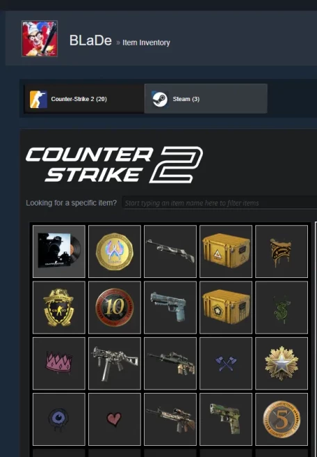 CS2 Prime 398 hours+4Medals(+Inventory 4$ +11 LVL STEAM)