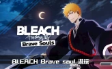 [BB-PLUS][GLOBAL Server]46000-47000 Spirit Orbs+Many Lv 200 5-star or 6-star characters[Automatic delivery] no need to wait!