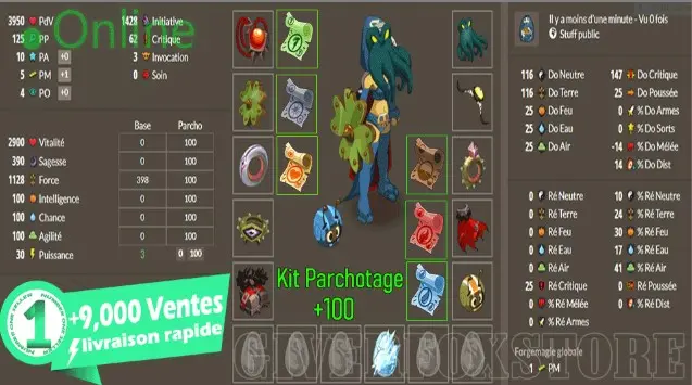 Draconiros>[ Set Terre Pour personnage Niveau 200 ] + Kit parchotage +100 All elements