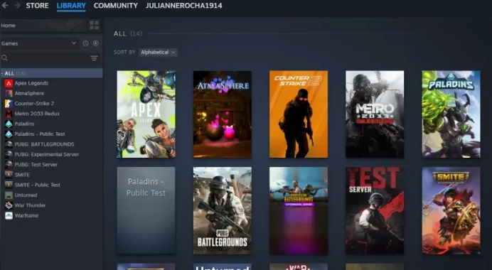 Steam & First Email - 1000+ Hours | CS 2 + Apes Legends + Metro 2033 | Hours Ready For Faceit | Automatic Delivery
