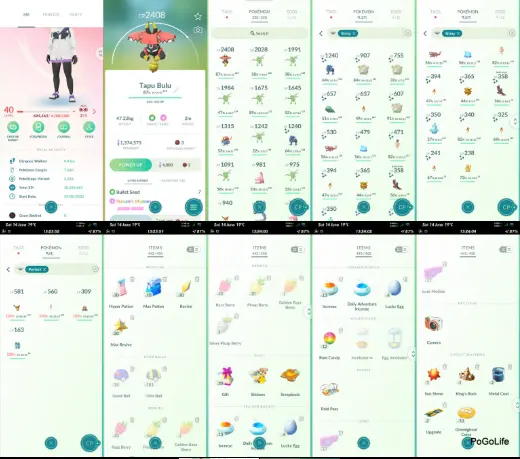 40L Valor 1.3mil DUST Account with Legendary Tapu Bulu