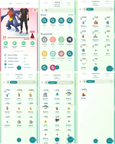 Level28|11 Shiny | 9 Costume| 1 Costume Shiny |1 Hundo | Starter Account