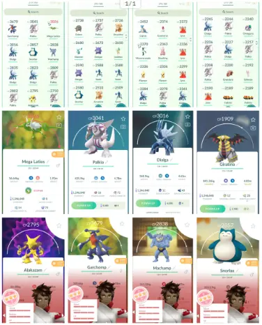 ps50~100 Hundo (IV100)~IV100 Garchomp3,6K~46 Shiny~10 Legendary~Shiny Mega Latios 3K~Dialga 3K~Palkia 3K~Deoxys