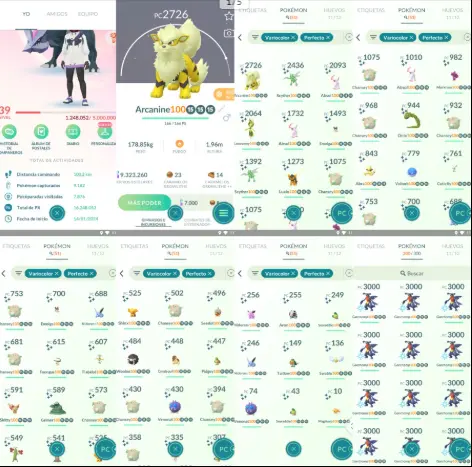 ACl845 - Valor| x18 3000CP |x204 2000CP |x51 SHUNDO Arcaninex11 Chansey|x38 Garchomp 100IV |Kyurem Shiny Regirock SHADOW Regice SHADOW x6 Dialga