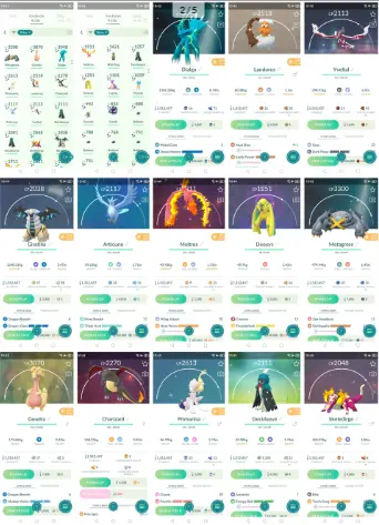 ps161 Shadow Mewtwo 3,5K IV100 Entei Legendary:131 Shiny:130 Shiny Dialga Shiny Landorus Shiny Yveltal Shiny Giratina Shiny Moltres