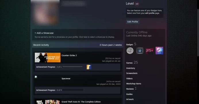 10 Level Steam_< 25 other games > _ <FACEIT>_45 Days Warranty _ 2023 Service Medal _ NO VAC_5Y, Global Offensive Badge _253 hrs_