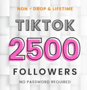2500 followers +FREE Big Bonus (Fast Delivery)