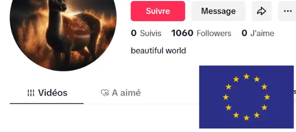 Real Photo Account | Europe Beta Account | 1000+ Followers |Live ready |Full access | + Free bonus