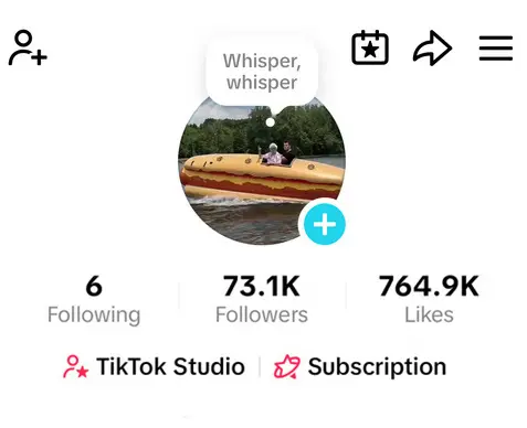 Instanly Delivery/Monetized 73K Real Followers+764K Real Likes Account/ Creator Rewards Program Activated/ Live Stream/ Full Access