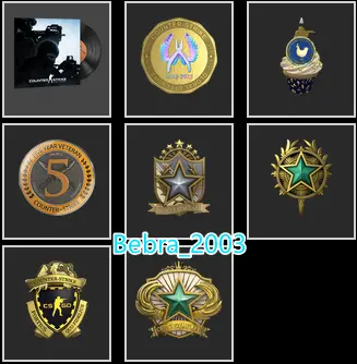 CS2 Prime+7Medals(2018-2020-2022 Service Medal/5Y/Loyalty Badge/10 Year Birthday Coin/Global Offensive Badge)