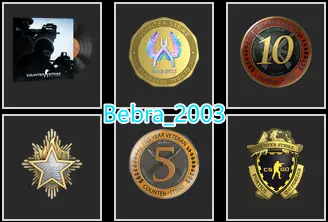 CS2 Prime 378 hours+5Medals(Loyalty Badge/10Y/5Y/2023 Service Medal/Global Offensive Badge)