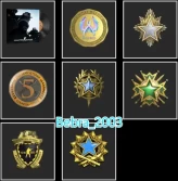 CS2 Prime+7Medals(2017-2019-2020-2023 Service Medal/5Y/Loyalty Badge/Global Offensive Badge)