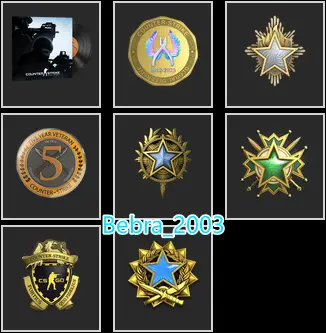 CS2 Prime+7Medals(2017-2019-2020-2023 Service Medal/5Y/Loyalty Badge/Global Offensive Badge)