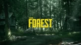 The Forest [STEAM] THE FOREST(0 Hours)+NFS Payback-Deluxe DaysToDie+AlanWake Collector Ed.+Orig.Email+FullAccess+InstantDelivery 24/7