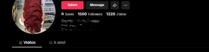 | Europe | Live phone ready | May have Live Studio | 1.500 Followers | No bann | No violations | Full Data Change | Native mail |