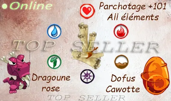 Boune : kit parchotage +101 all elemtents + dragoune rose 55 sagesse + dofus cawotte 50 sagesse + bonus - Fast Delivery