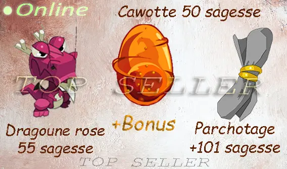 Boune : Parchotage +101 sagesse + Dragoune rose 55 sagesse + Dofus cawotte 50 sagesse + Bonus - Livraison 5 minutes