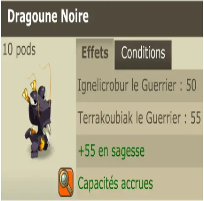 Boune>[Dragoune Noire] +5.000.000 Kamas + BONUS - Fast Delivery