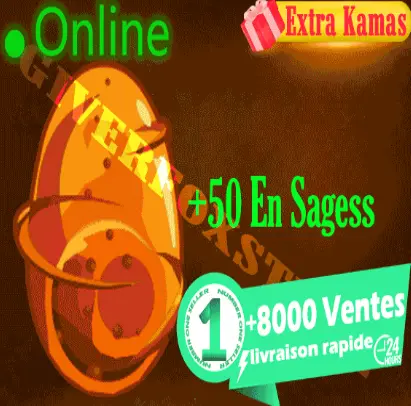 Boune>[ Kit Parchotage +101 tout les Elements + Pykur +90 PP + Cawotte +50 en Sagesse ] +BONUS