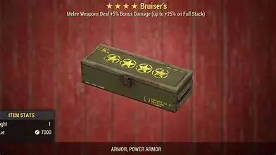 Bruiser's [Legendary 4 Star Mod Box]