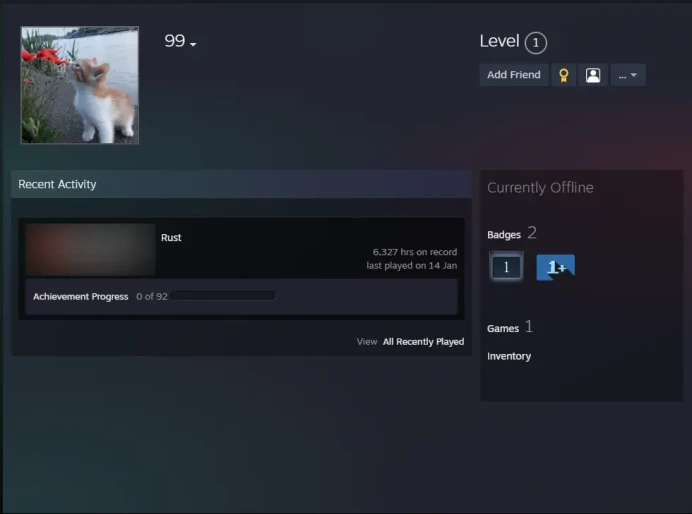 6357 hours Rust account | 61 Twitch Drops | Full access | No 5$ limit | Region Free | Instant delivery 24/7