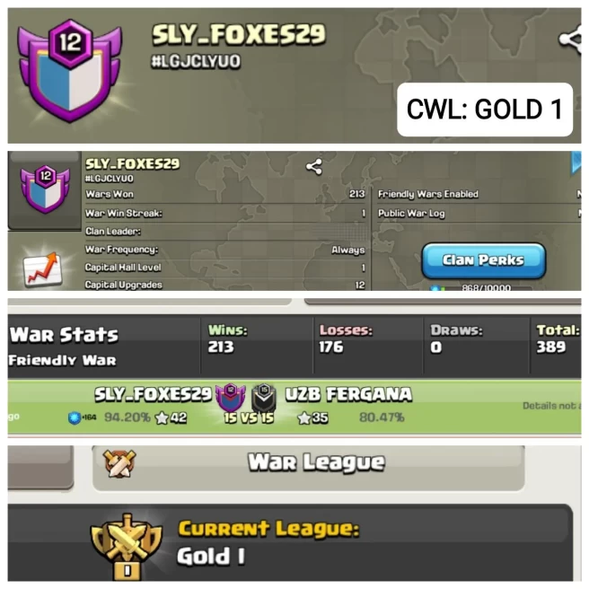 C43◆ENGLISH NAME: SLY_FOXES29◆LVL 12◆CWL RANK: GOLD 1◆WAR WIN: 213/WAR LOSS: 176◆POSITIVE WAR LOG◆EXTRA ORDINARY STORE