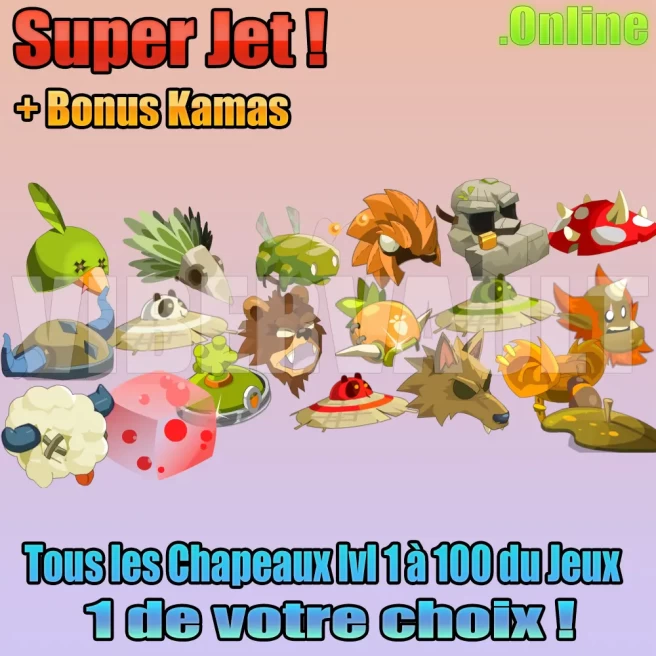 [Kelerog] x1 Coiffe LVL 1 à 100  de votre choix / Super Jet !