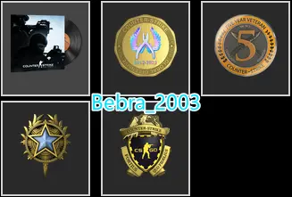 17Game-CS2 Prime 320 hours+4Medals(2020 Service Medal/5Y/Loyalty Badge/Global Offensive Badge)