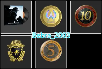 30Game-CS2 Prime+4Medals(10Y/5Y/Loyalty Badge/Global Offensive Badge)