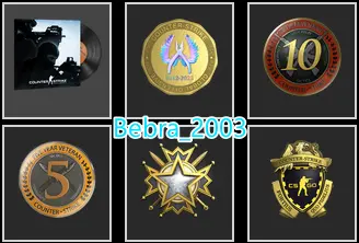 CS2 Prime 514 hours+5Medals(2019 Service Medal/Loyalty Badge/10Y/5Y/Global Offensive Badge)