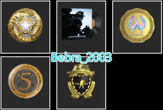 14Game-CS2 Prime 172 hours+4Medals(2025 Service Medal/Loyalty Badge/5Y/Global Offensive Badge)
