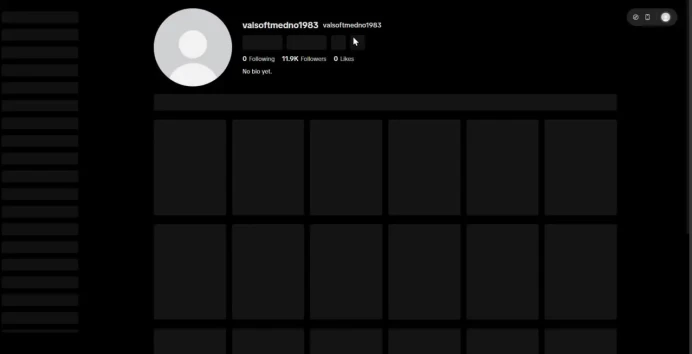Netherlands | Account | TikTok 11.900 Followers | Live Studio + live Phone Activated | Full Mail Access | Creator Rewards Program | 