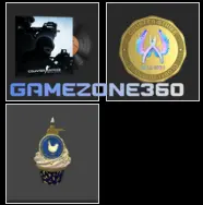 <<FACEIT>>_<30 Days Warranty>_ 10 Year Birthday Coin, Global Offensive Badge_ NO VAC_222 hrs_