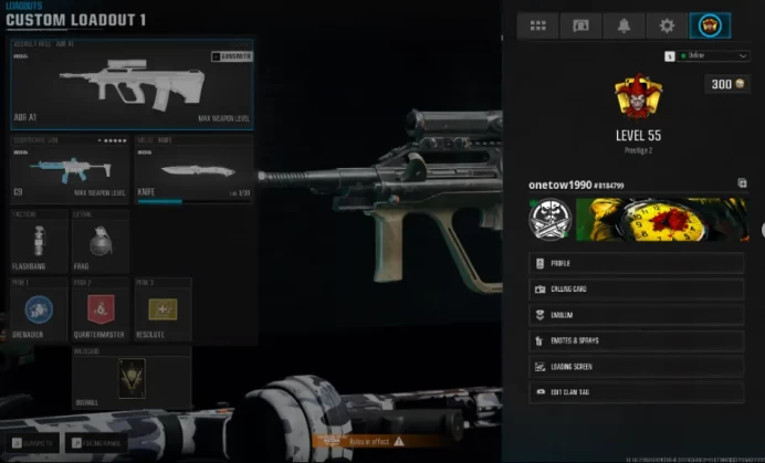 [Warzone 4.0 / WZ4] LEVEL 55 PRESTIGE 3 Ready 15 GUNS MAX Ranked Ready Weaver Operator Battle pass COMPLETED Linkable to Bnet/Steam/PS