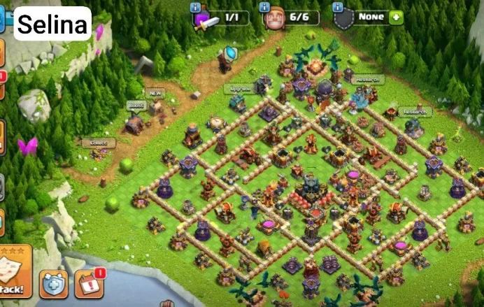 th17 : best in all market + cheap price : 2219