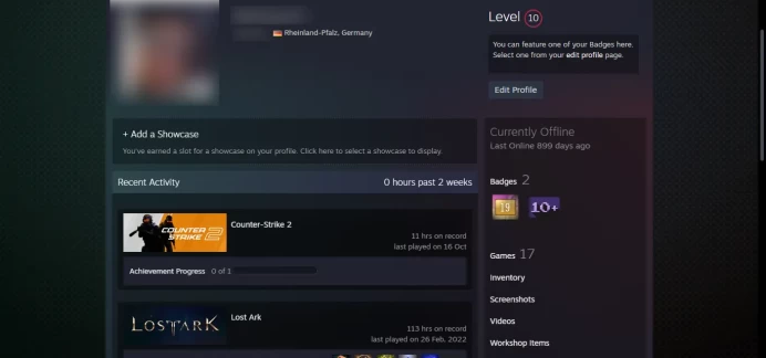 10 LEVEL STEAM + 10 other games_ <<FACEIT>>_Last Online 2 year ago _<30 Days Warranty> _NO VAC_10Y, 5Y, Loyalty Badge, Global Badge_11 hrs
