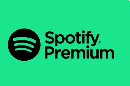 Spotify Individual Premium 12 Months Subscription