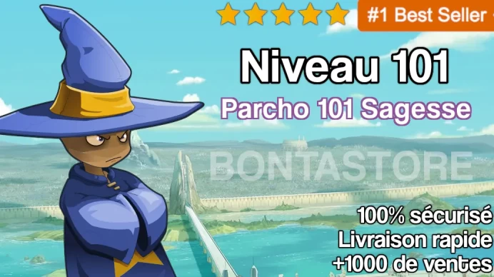 Xelor 101 - Parcho +101 Sagesse - Allisteria - 100% sécurisé