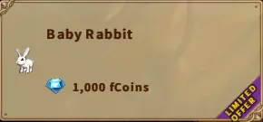 America FWC | Baby Rabbit